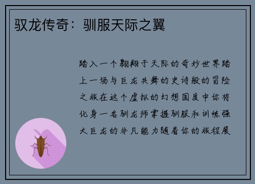 驭龙传奇：驯服天际之翼